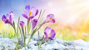 istock-1125129156-352x198.jpg